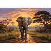 Fotobehang .- Olifant - Safari - Wilde Dieren - Vliesbehang- 104x70cm
