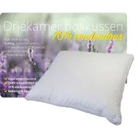 ISleep 3-Kamer Donzen Hoofdkussen - Boxkussen - Eendendons - 55x65x5 / 60x70 cm - Wit