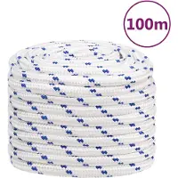 vidaXL Boottouw 20 mm 100 m polypropyleen wit