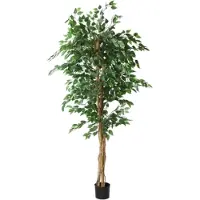 Countryfield Ficus benjamina i/pot h210cm groen