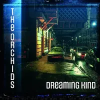 Konkurrent The Orchids - Dreaming Kind (CD)
