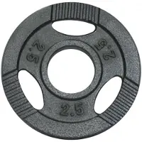 Gorilla Sports Halterschijf 2.5 kg Gripper Gietijzer Zilver - 50/51 mm