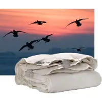 ISleep Donzen 4-Seizoenen Dekbed - 60% Dons - Eendendons en Eendenveren - Litsjumeaux - 240x200 cm