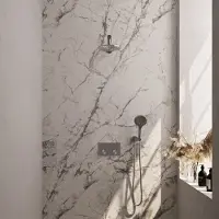 Brauer Brushed Edition thermostatische inbouw regendouche met drukknoppen SET 55 met 20 cm douchekop en rechte muurarm en 3-standen handdouche en doucheslang en wandaansluitbocht RVS geborsteld PVD
