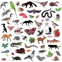 Pias Modern Nature - Island Of Noise (LP)