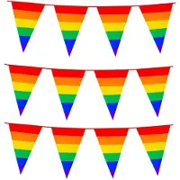 Boland 3x Stuks Boland PE vlaggenlijn - 8m - Regenboog - Universeel Thema - Vlaggenlijnen