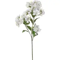 Louis Maes Bloesem kunstbloem/tak - wit - 60 cm - appelbloesem - Kunstbloemen