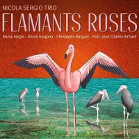 Sonic Nicola Sergio - Flamants Roses (CD)