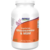 Now , Vegetarisch Glucosamine & MSM, 240 Veg Capsules