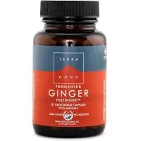 Terranova Fermented ginger 250 mg (50 capsules)