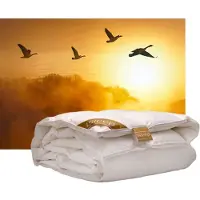 ISleep Gold Donzen Enkel Dekbed - 100% Dons - Ganzendons - Tweepersoons - 200x200 cm
