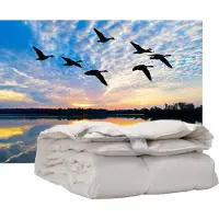 ISleep Donzen Dekbed - Enkel - 100% Dons - Warmteklasse 2 - Eendendons - Tweepersoons - 200x200 cm