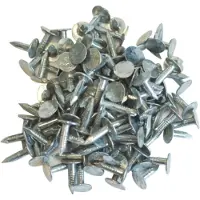 Wovar Asfaltnagels Verzinkt 3 x 15 mm | Doos 1 KG