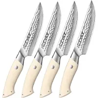 HEZHEN Damaststalen steakmessenset | 4 steakmessen | Inclusief luxe giftbox / bewaardoos | handvatten van ivoorwit G10 materiaal | B38H Series