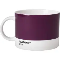Pantone Theebeker Design Pantone Aubergine 475 ml