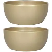 Floran 2x stuks bloempot/plantenpot schaal van keramiek in het parelgoud D18.5 en H8.5 cm - Plantenpotten