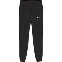 Puma Sportbroek 'TeamGoal' zwart / wit