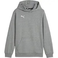 Puma Hoodie teamGOAL Casuals - Grijs Kids
