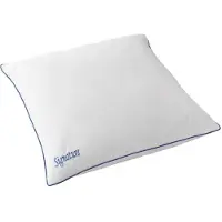 Zydante Hoofdkussen - 100% eendenveren - Signature Hoofdkussen – Slaapkussen – Zacht & Comfortabel – Nekondersteuning – Anti-Huisstofmijt - Divers / 60x40