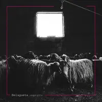 Sonic Belugueta - Belugueta - Espigots (CD)