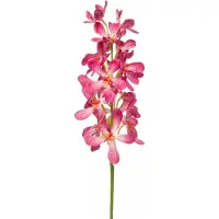 Woonexpress Kunstbloem Vanda Spray Roze - 80 cm
