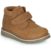 El naturalista Laarzen BROSSI kind 24