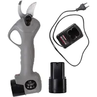 Talentools Accu snoeischaar |