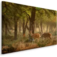 Karo-art Schilderij - Jonge Hertjes in het Bos, Premium Print