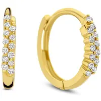 New Bling 9NBG-0716 Gouden Oorringen met Zirkonia - Oorbellen - 14 Karaat - Zirkonia - 2 rijtjes - 12mm Doorsnee - 1,8mm Breed - Scharnier - Goud