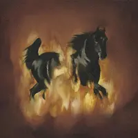 Konkurrent Besnard Lakes - The Besnard Lakes Are The Dark Horse (LP)