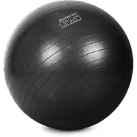 Gymstick Pro Exercise 65cm Fitbal