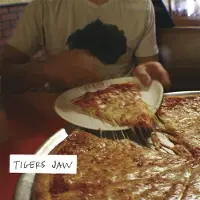 Konkurrent Tigers Jaw - Tigers Jaw (LP) (Coloured Vinyl)