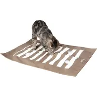 Trixie Speelmat Voor Katten