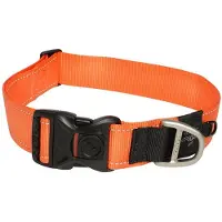 Rogz Classic Afsluitbare Reflecterende Halsband Oranje XXL (XXL, Hond, Hondensport), Kraag + Leiband