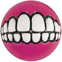 Rogz Grinz Ball