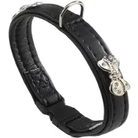 Ferplast Joy 20 Mm 31 Cm Dog Collar Zwart