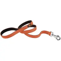 Ferplast Dual Hondenriem 15 Mm 110 Cm