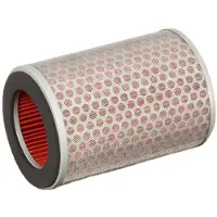 Champion Parts Caf0602 Luchtfilter