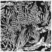 Konkurrent Eternal Tapestry - Wild Strawberries (CD)
