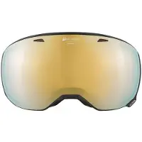Alpina Skibril Alpina Big Horn Q Black Matt
