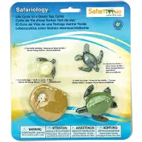 Safari Ltd Levenscyclus van een groene zeeschildpad