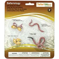 Safari Ltd Levenscyclus Van Een Worm Figuur