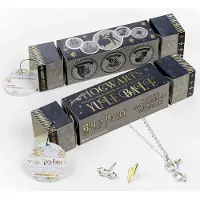 Harry Potter Gift Cracker Harry Glasses Necklace and Earrings