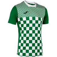 Joma Flag Iii T-shirt Met Korte Mouwen Groen,Wit S Man