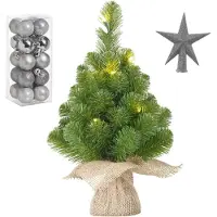 Mica Decorations Kunst kerstboom met 10 LED lampjes 45 cm inclusief zilveren versiering 21-delig - Kunstkerstboom