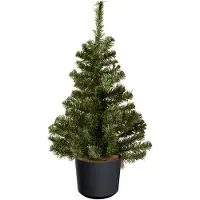 Everlands Mini kerstboom groen - in antraciet grijze kunststof pot - 60 cm - kunstboom - Kunstkerstboom