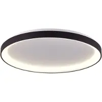 Steinhauer Plafondlamp Ringlede Design Zwart Ø 38cm