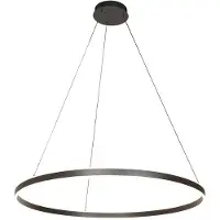 Steinhauer Hanglamp Ringlux 100cm Zwart rond 7200 Lumen