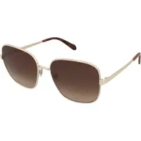Fossil FOS 2133/G/S 06J/HA