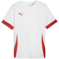 Puma Functioneel shirt 'TeamGoal Matchday' rood / wit